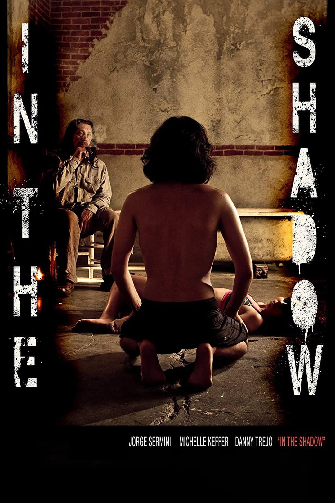 Poster di In the Shadow