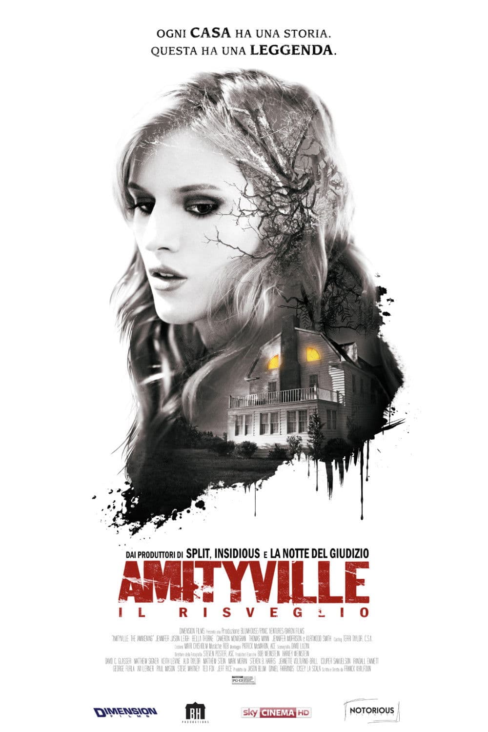 Poster di Amityville : Il risveglio