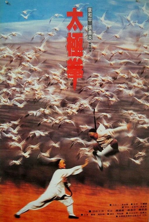 Poster di 太極拳