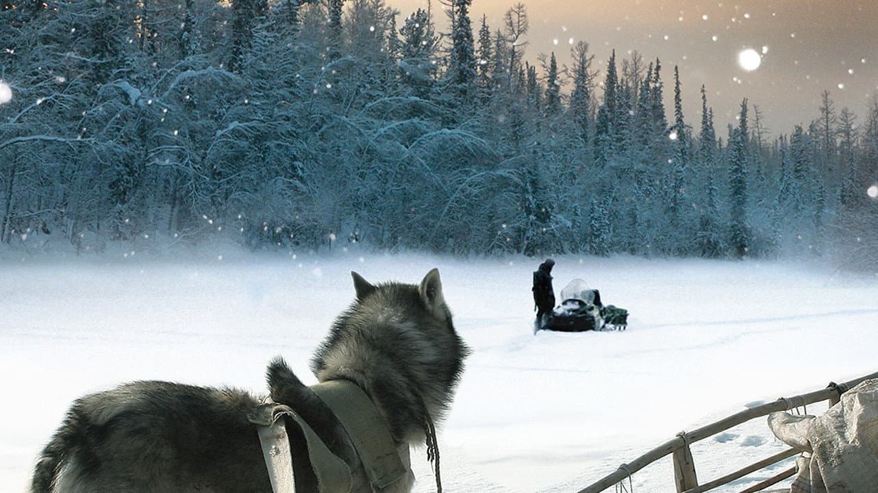 Happy People: A Year in the Taiga - immagine