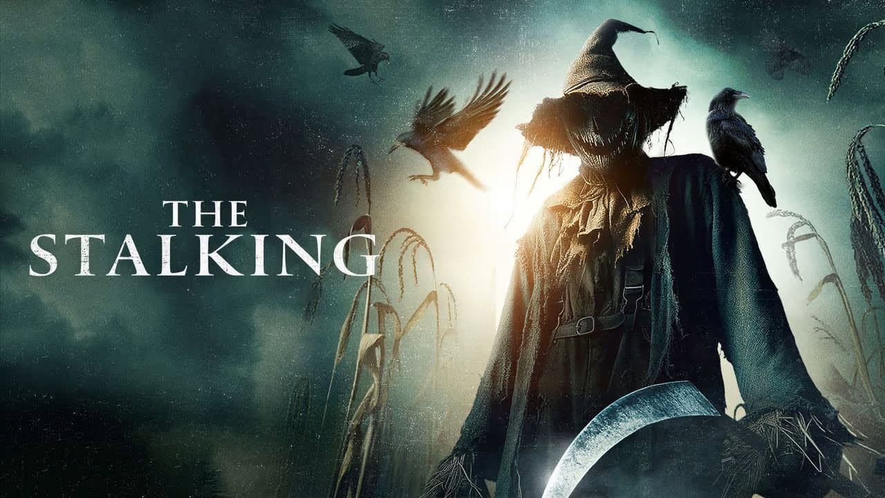 The Stalking - immagine