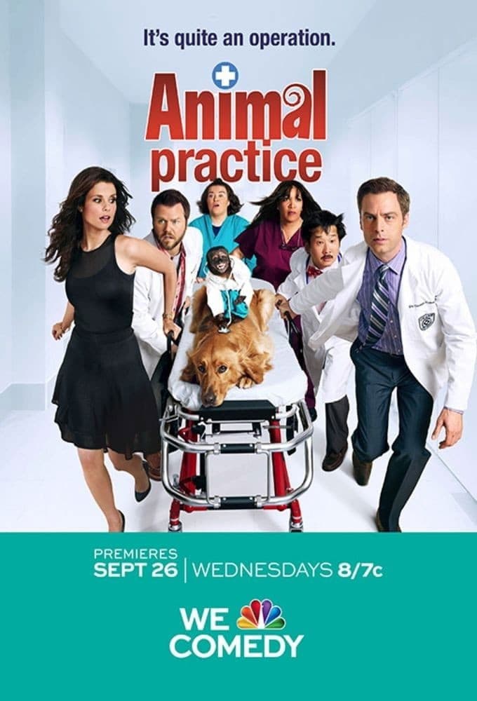 Poster di Animal Practice