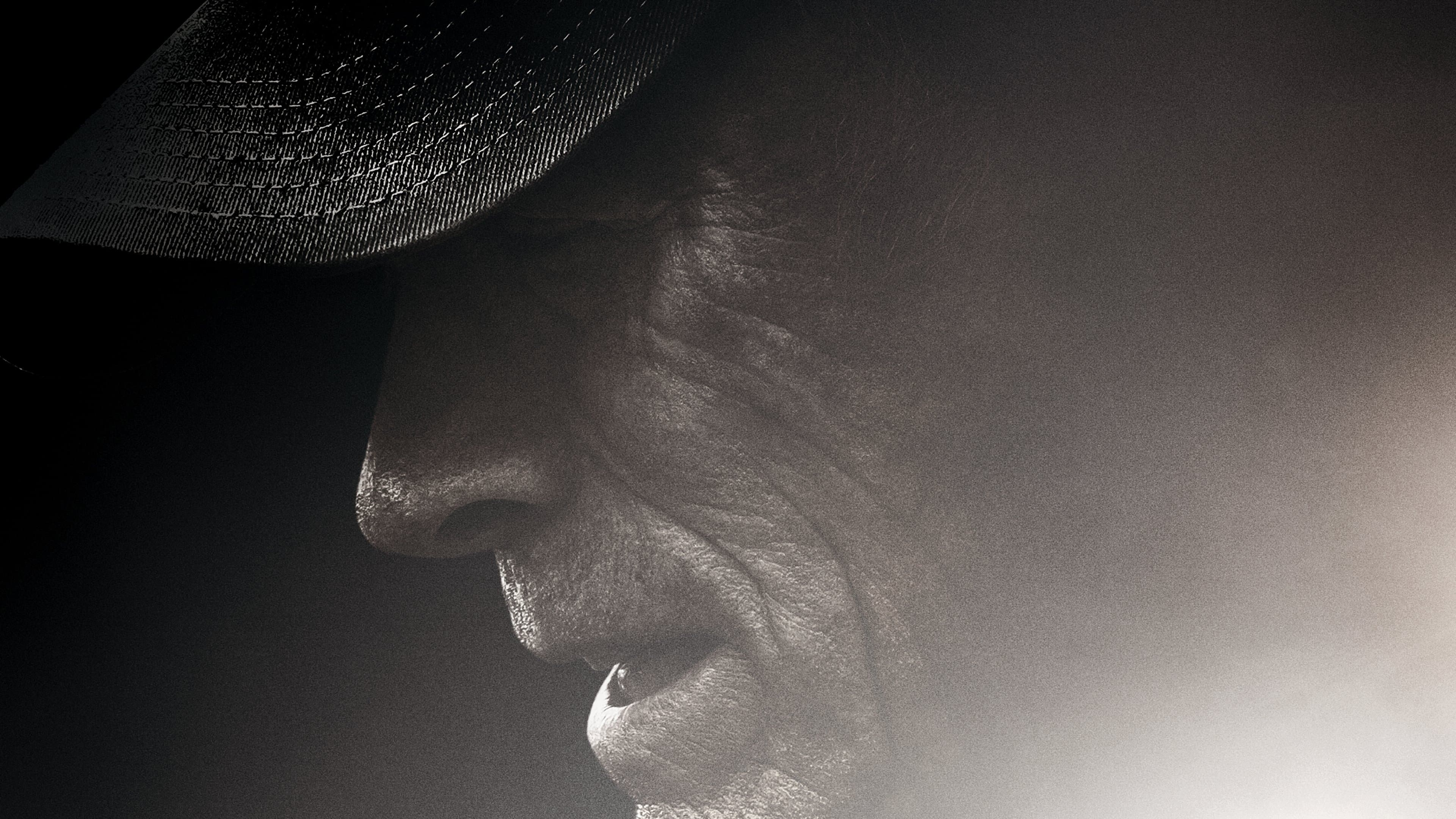 Il corriere - The Mule - immagine