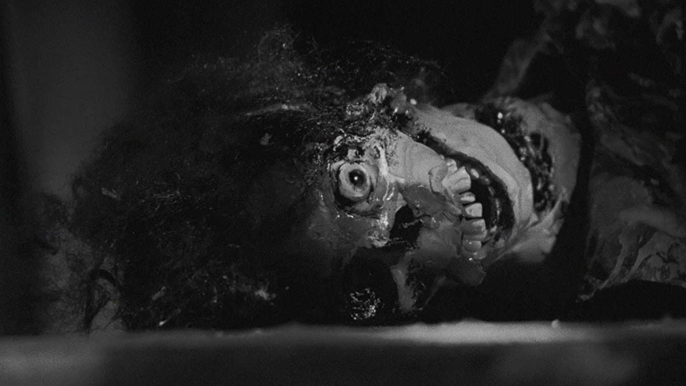 La notte dei morti viventi - immagine