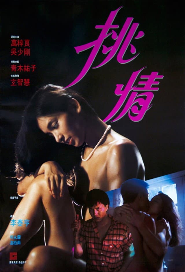 Poster di 挑情
