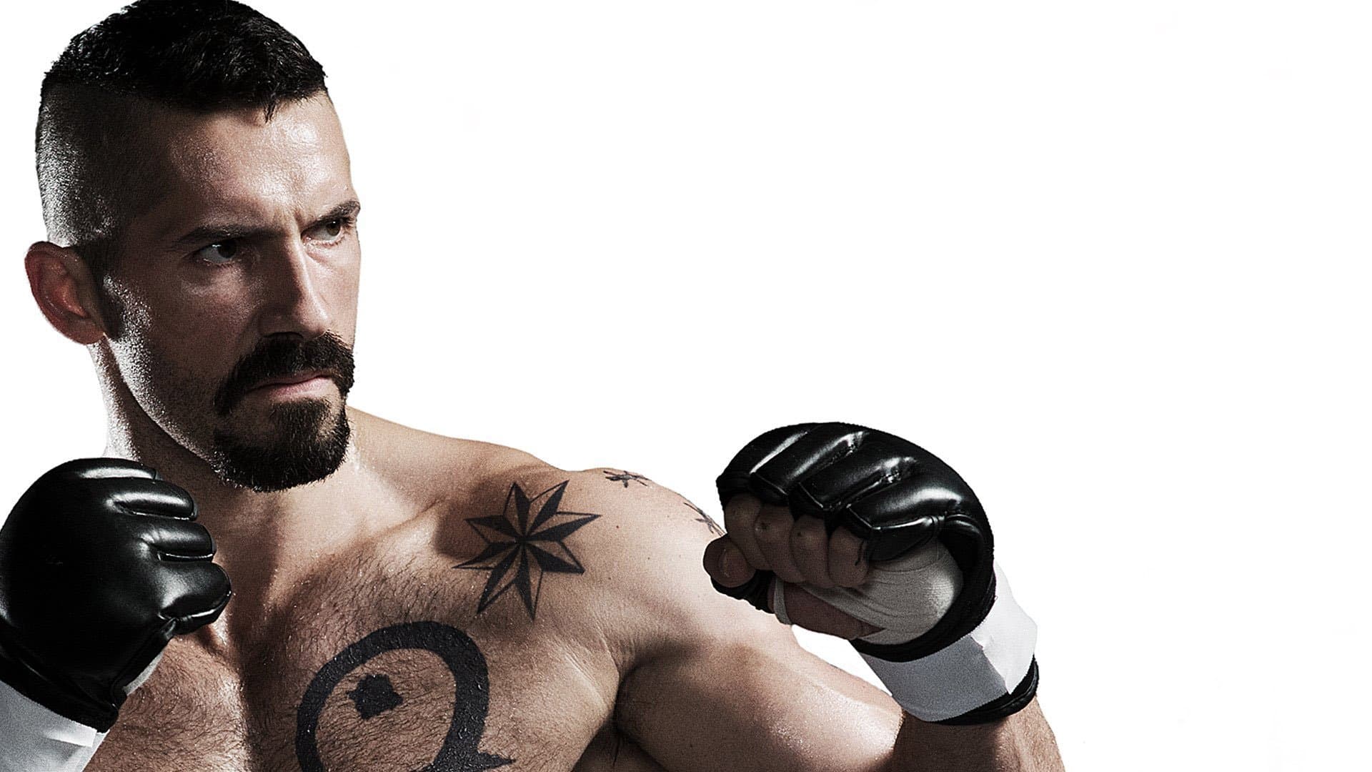 Undisputed 4 - Il ritorno di Boyka - immagine