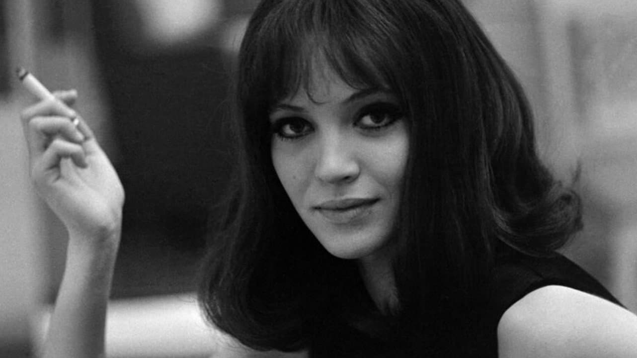 Anna Karina, souviens-toi - immagine