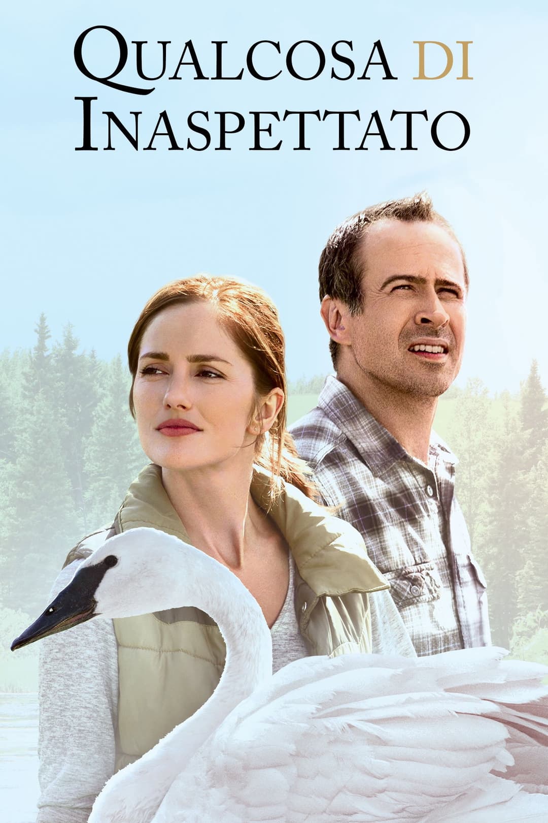 Poster di Qualcosa di inaspettato