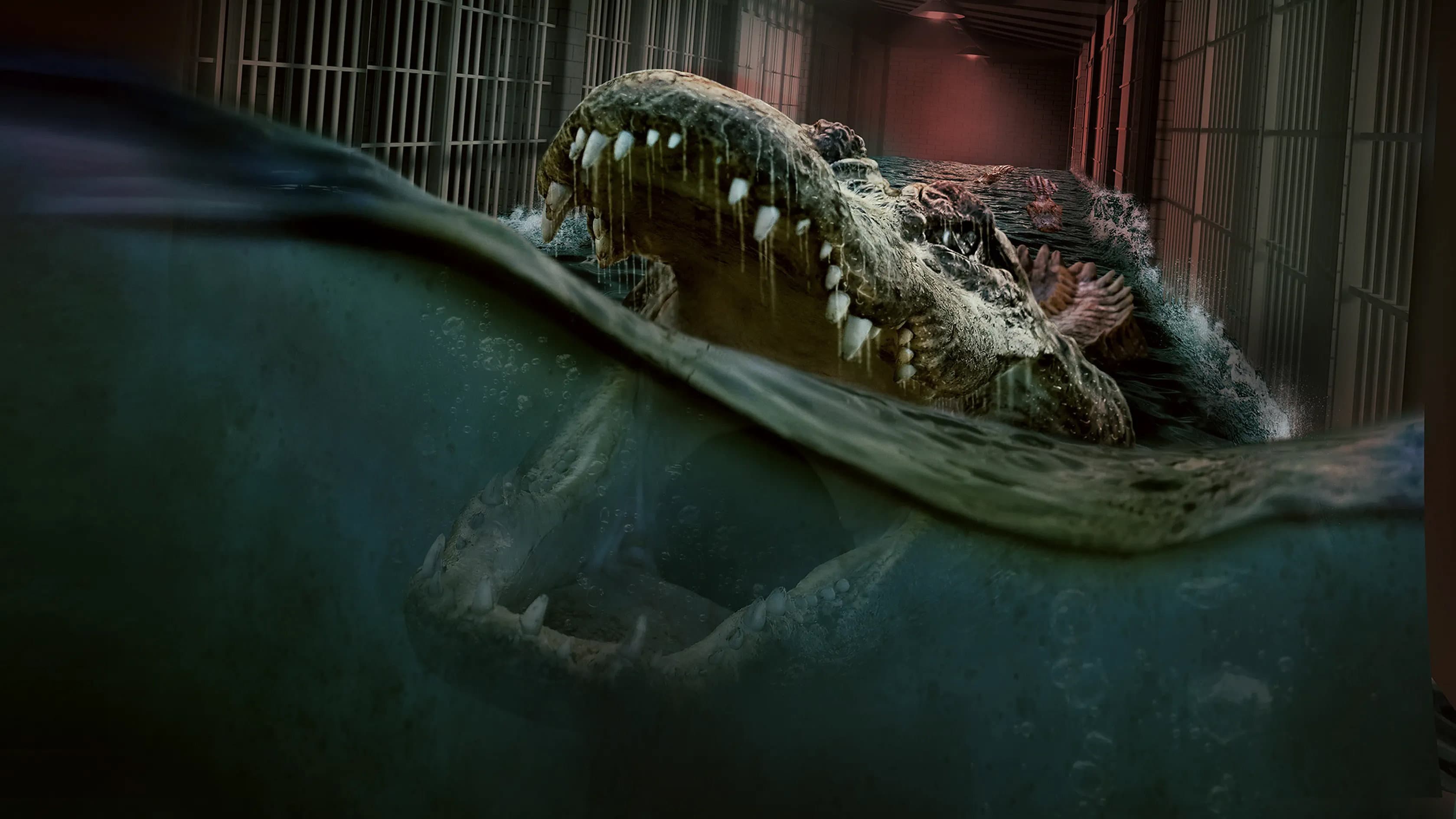 Alligator - immagine