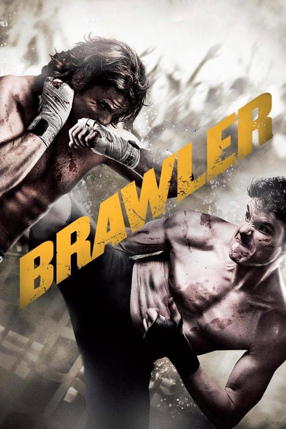 Poster di Brawler