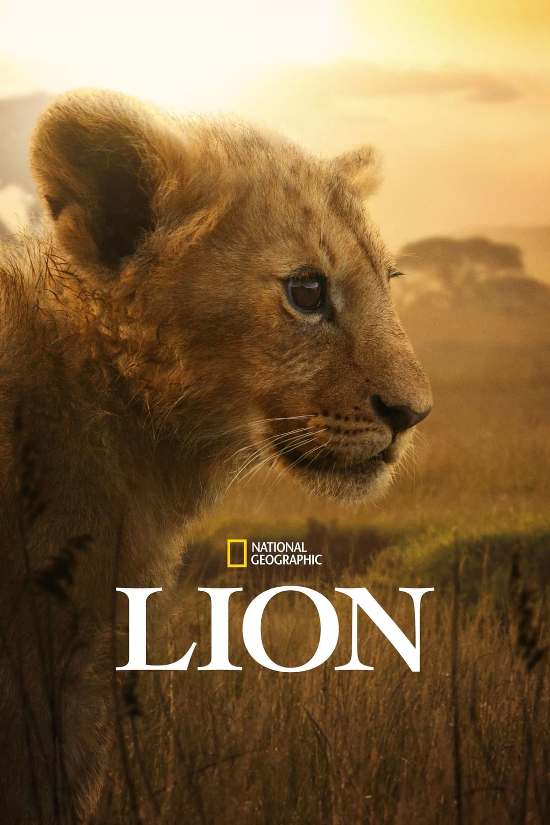 Poster di Lion