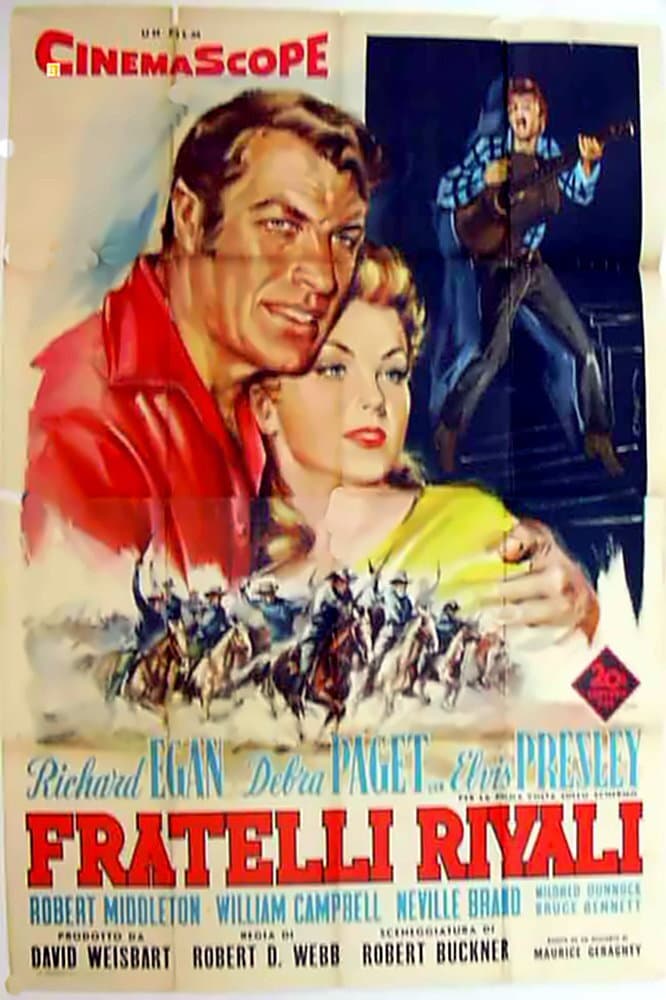 Poster di Fratelli rivali