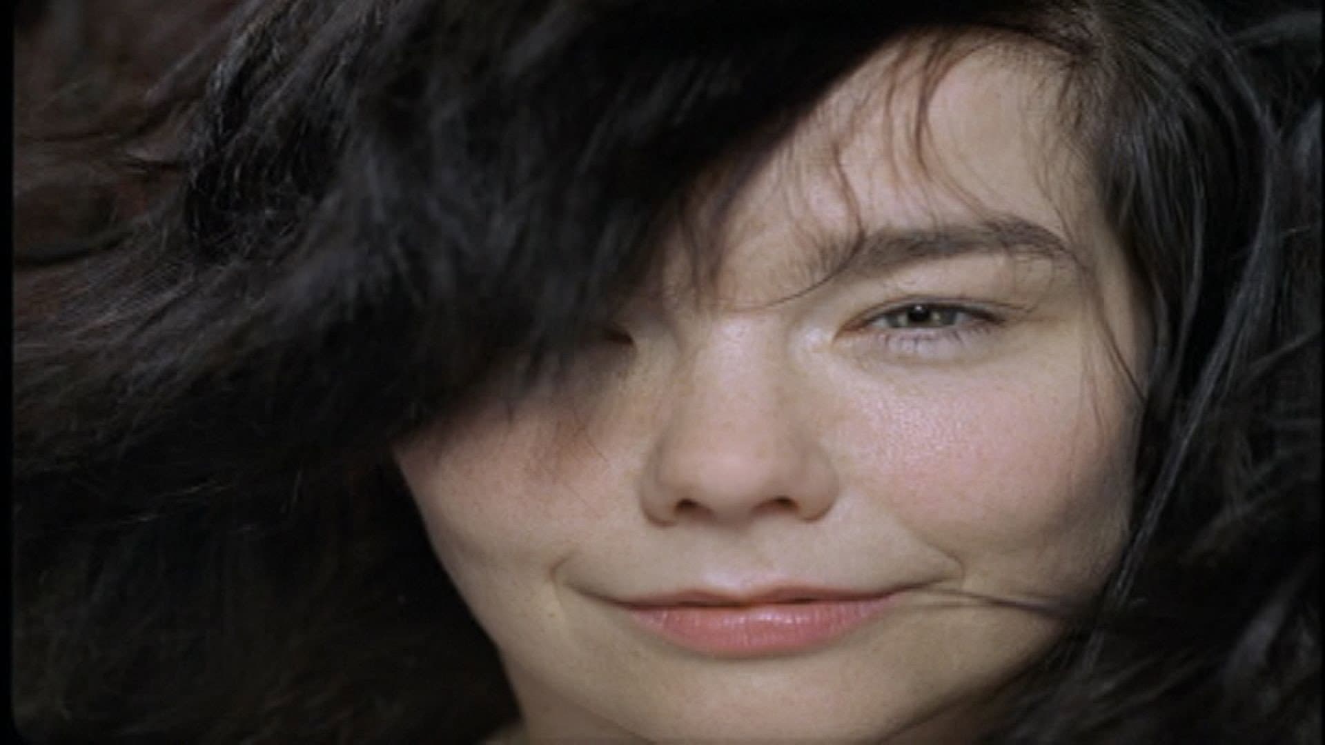 Björk: Volumen Plus - immagine
