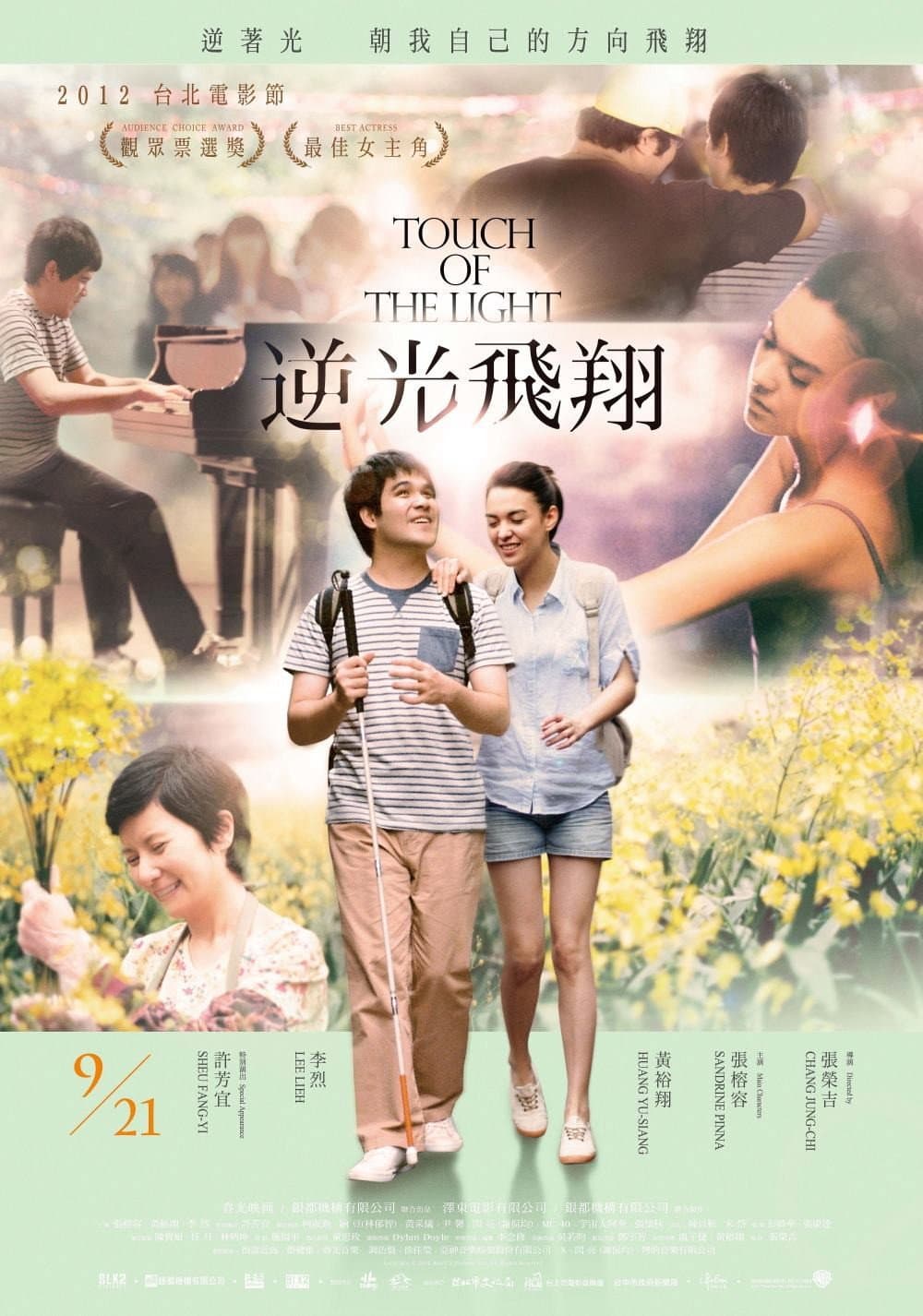 Poster di Touch of the light