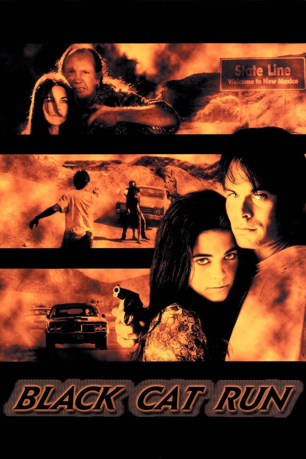 Poster di Black Cat Run