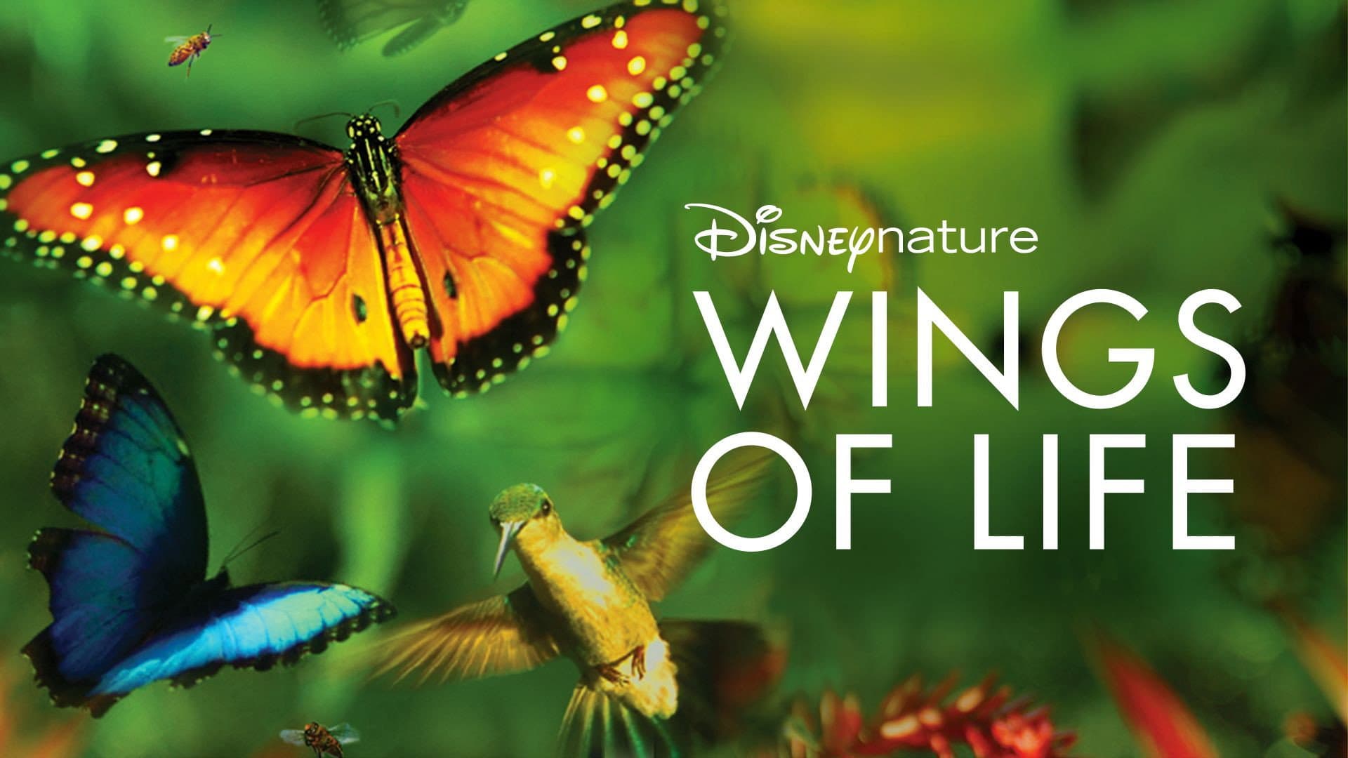 Wings of Life - immagine