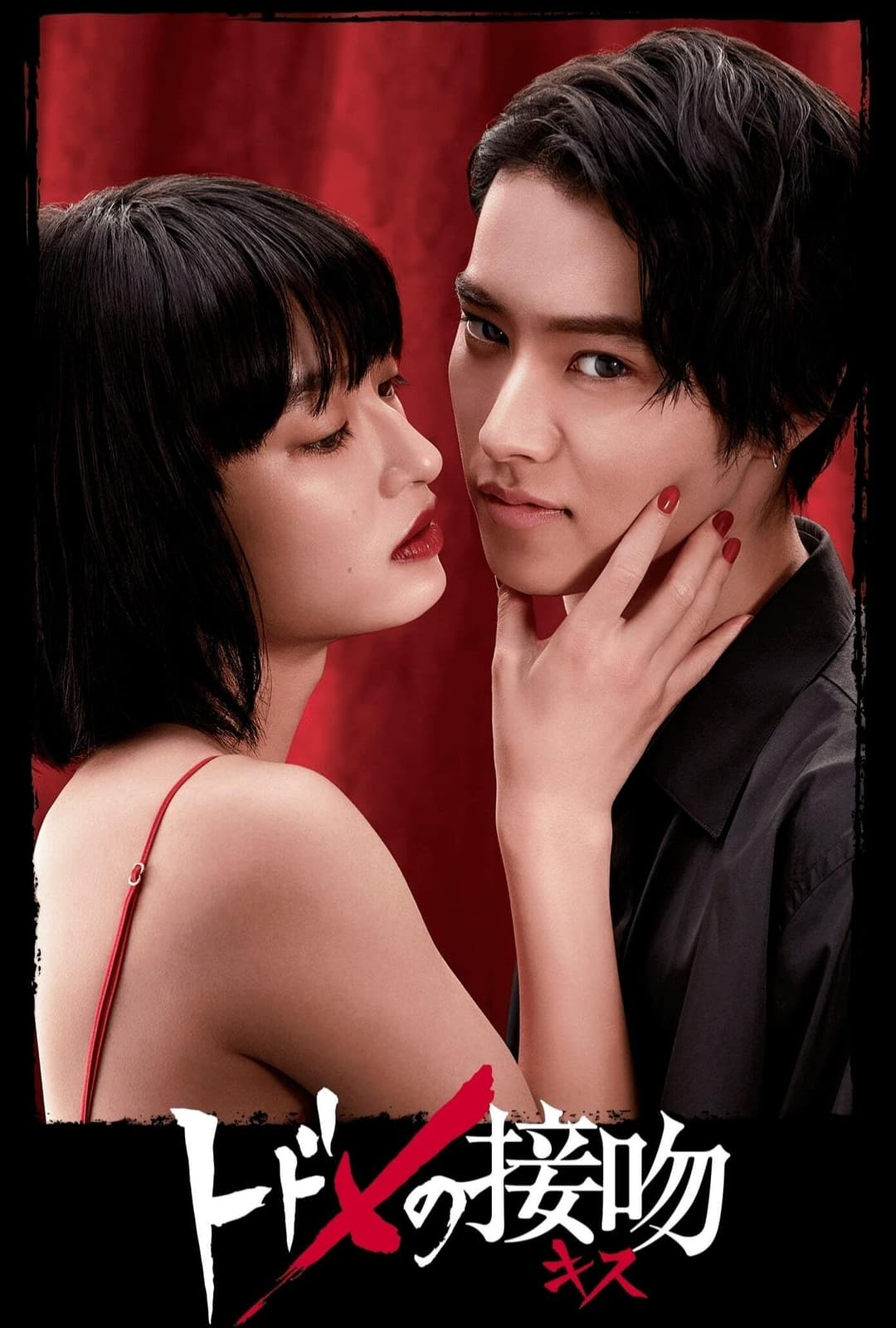 Poster di トドメのパラレル