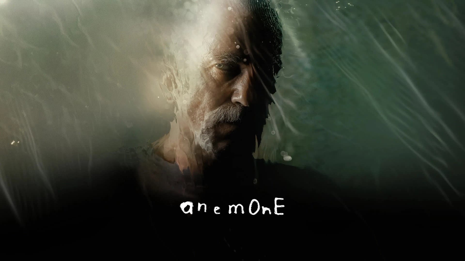 Anemone - immagine