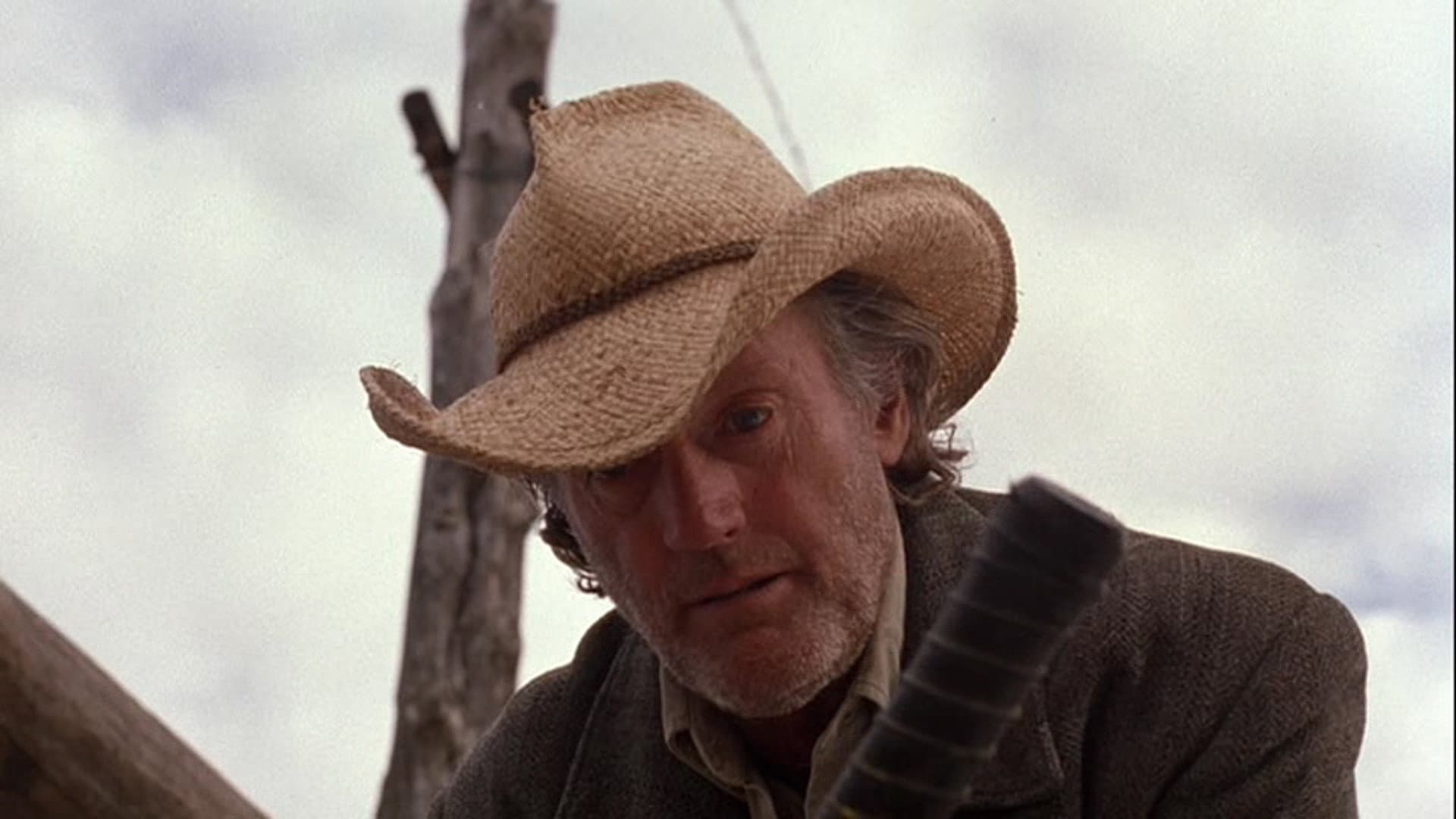 Wooly Boys - immagine