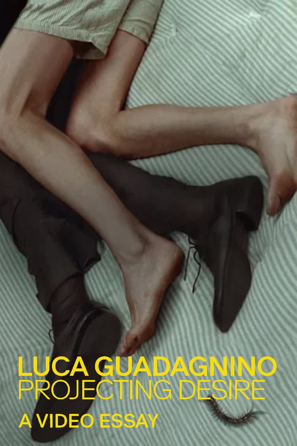 Poster di Luca Guadagnino: Projecting Desire