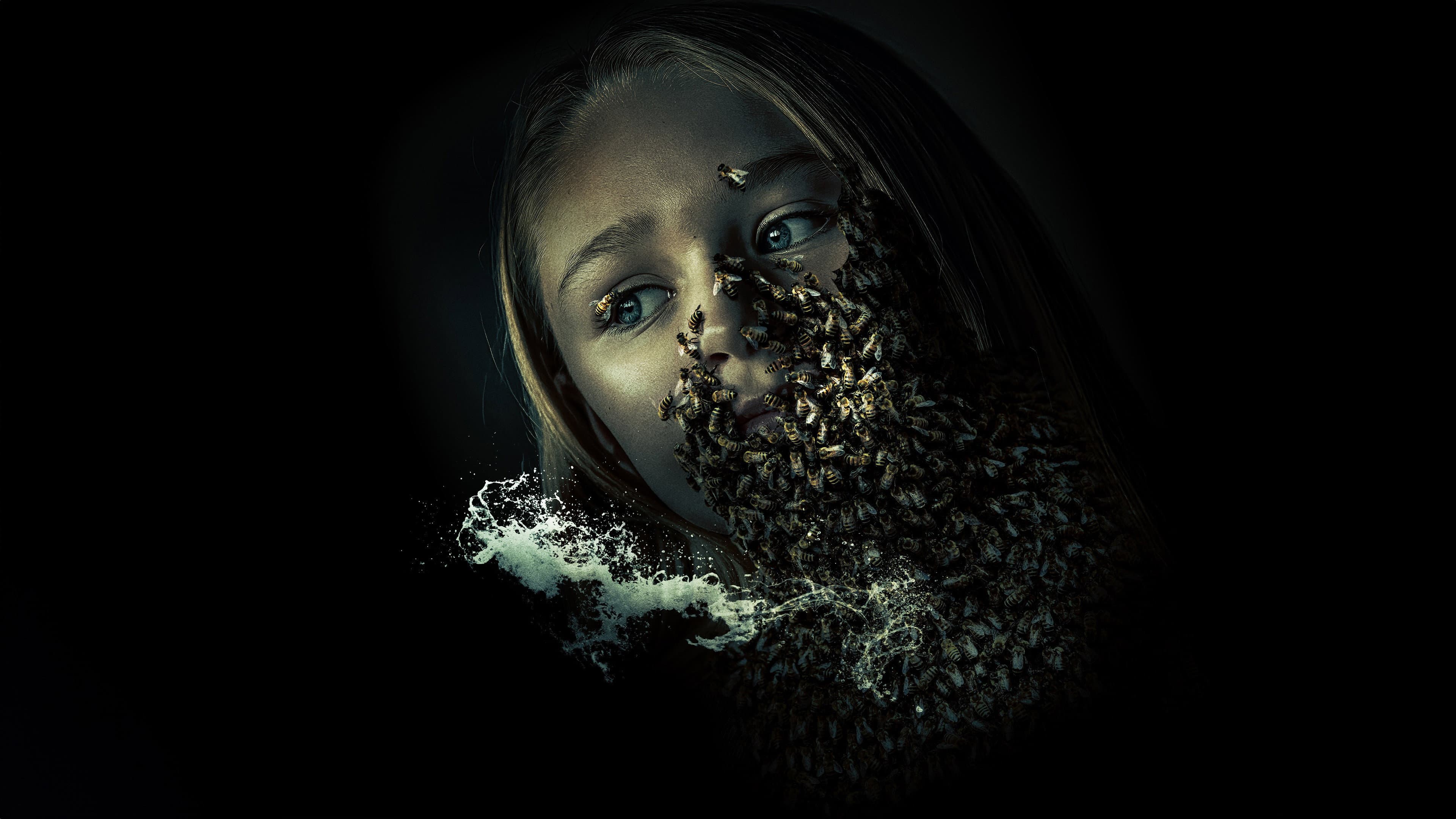 The King Tide - immagine