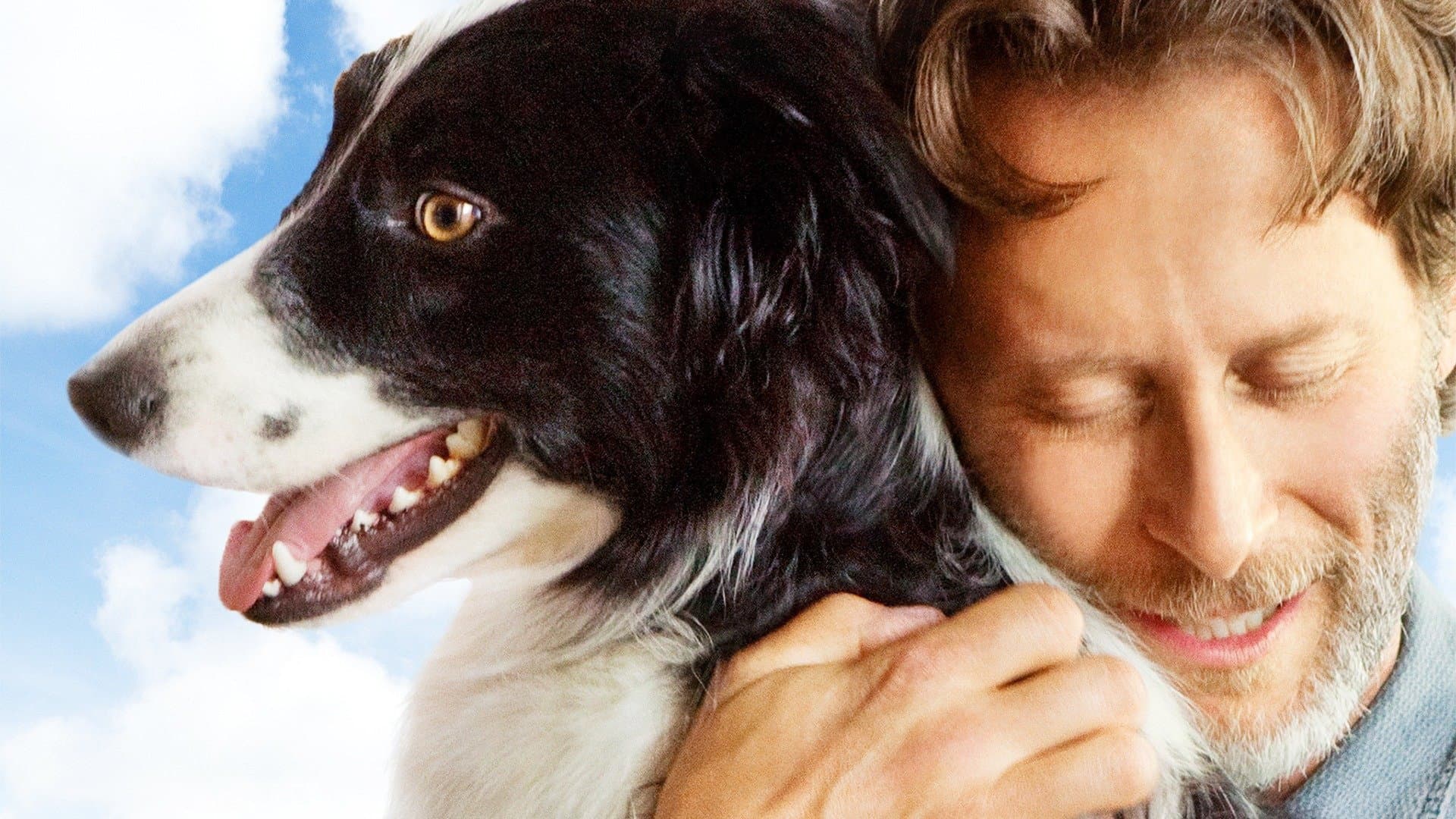 Un amico di nome Duke - immagine