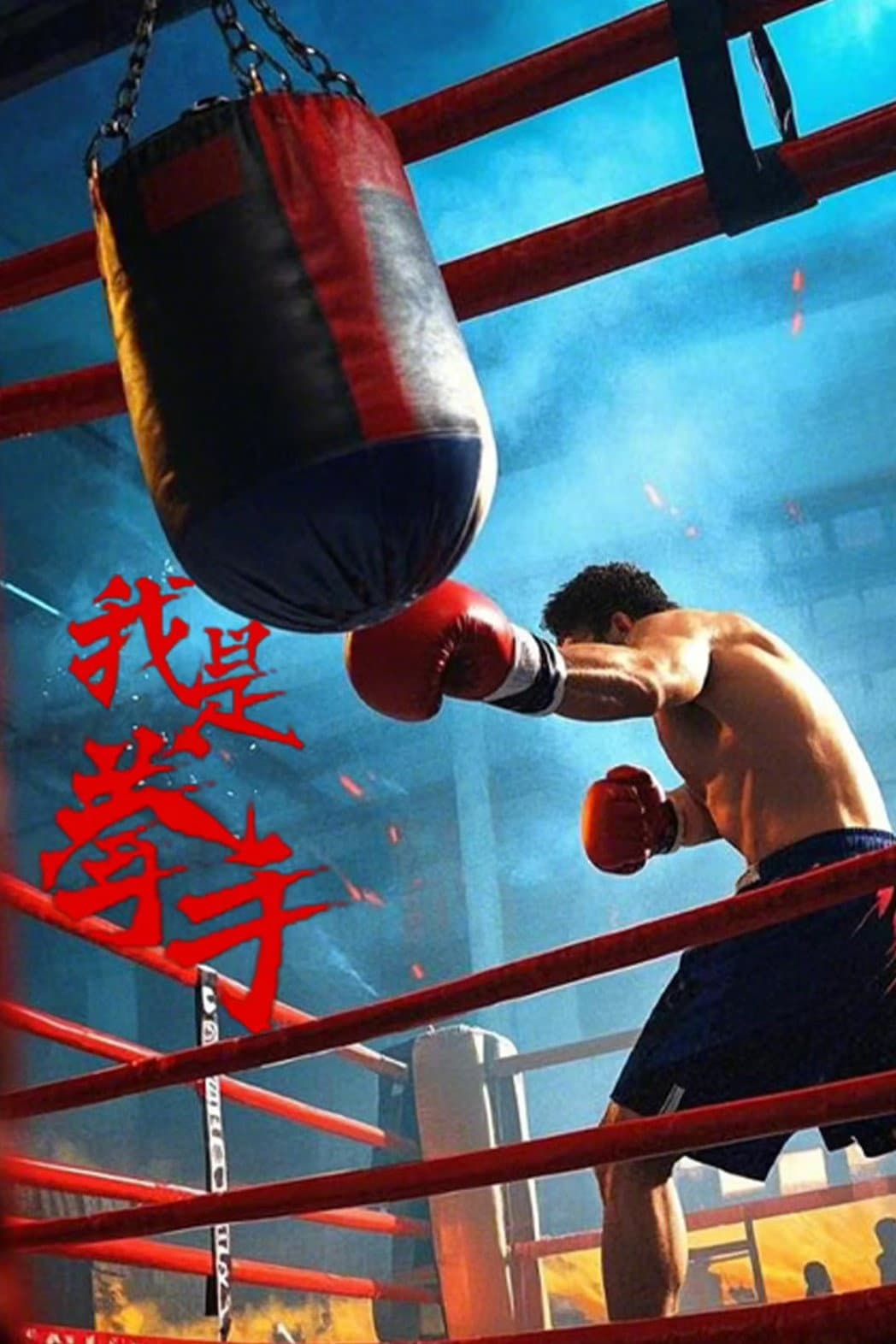 Poster di 我是拳手
