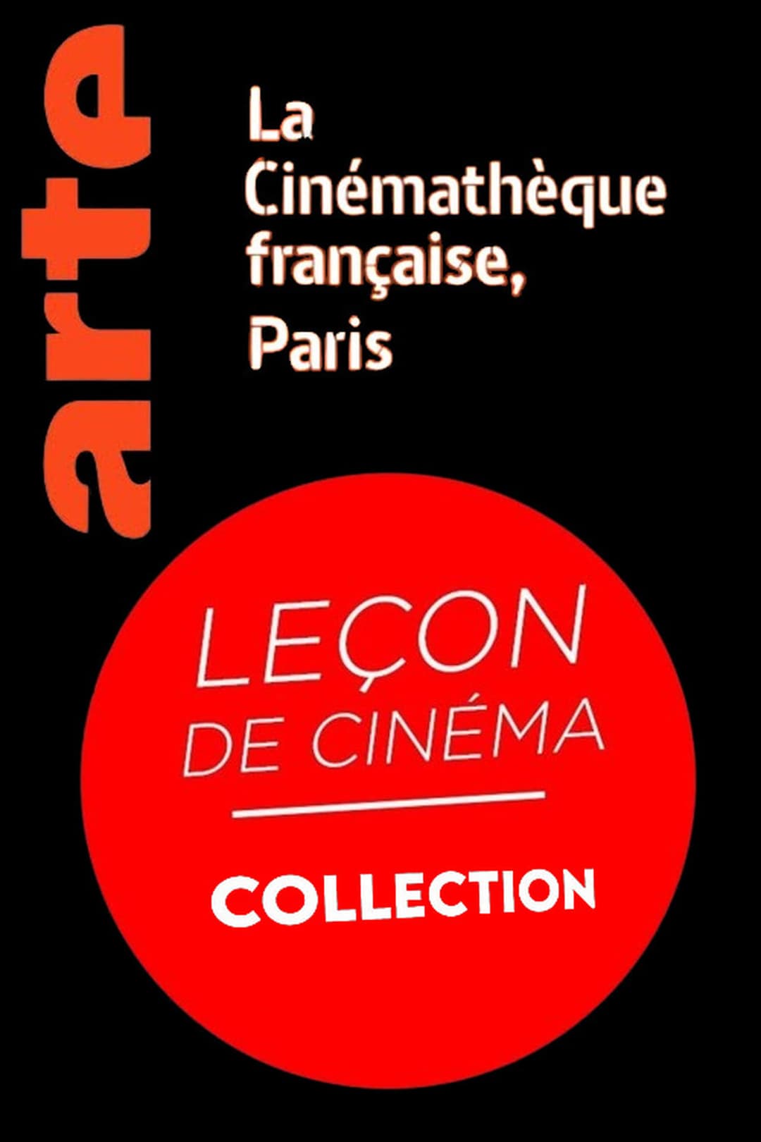 Poster di Leçon de Cinéma