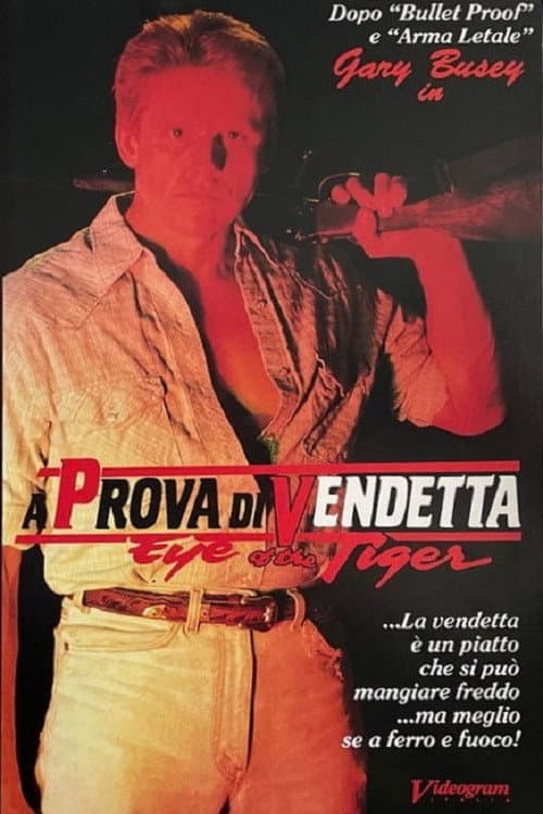 Poster di A prova di vendetta
