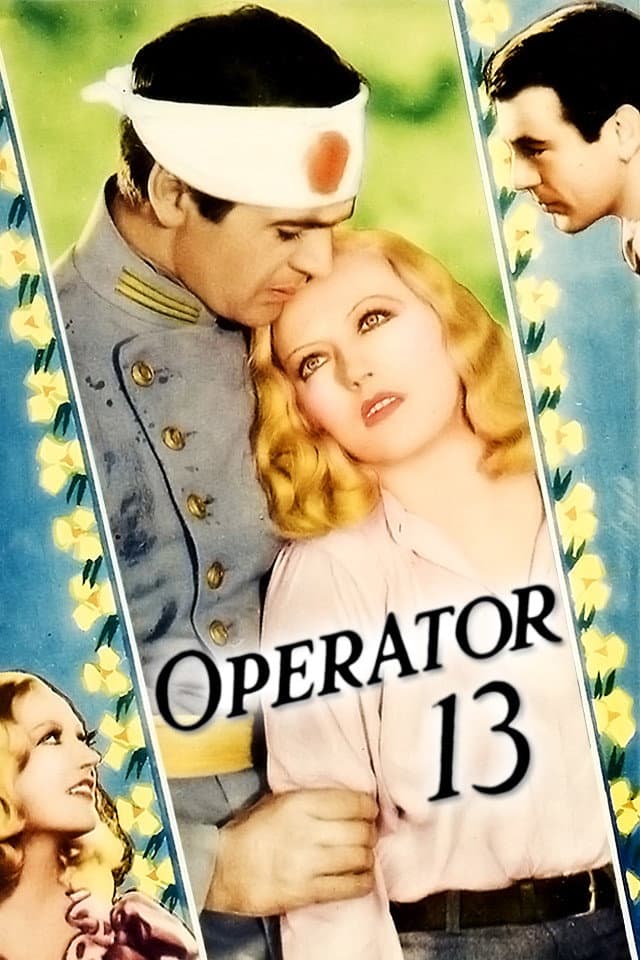 Poster di L'agente n. 13