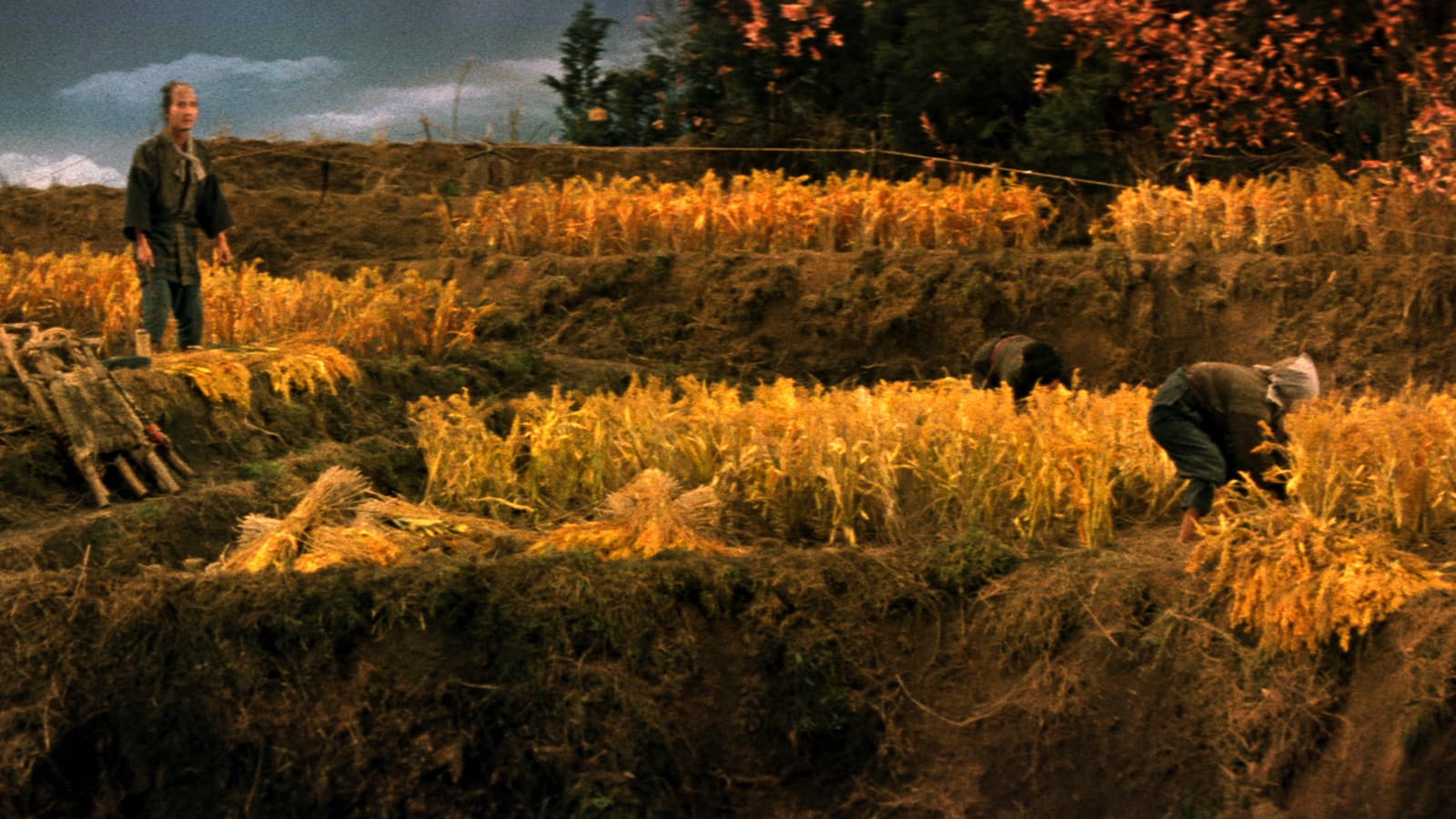 La leggenda di Narayama - immagine