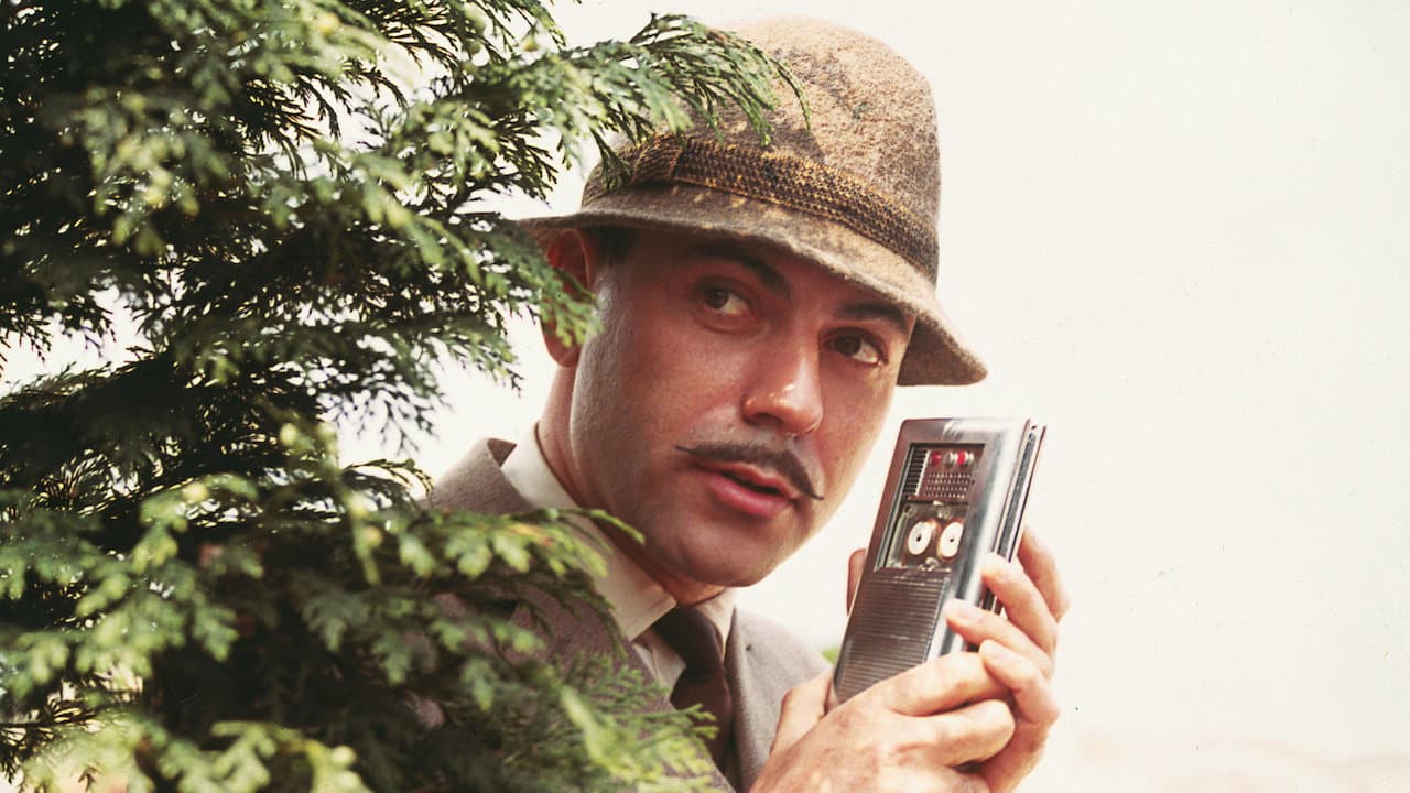 L'infallibile ispettore Clouseau - immagine