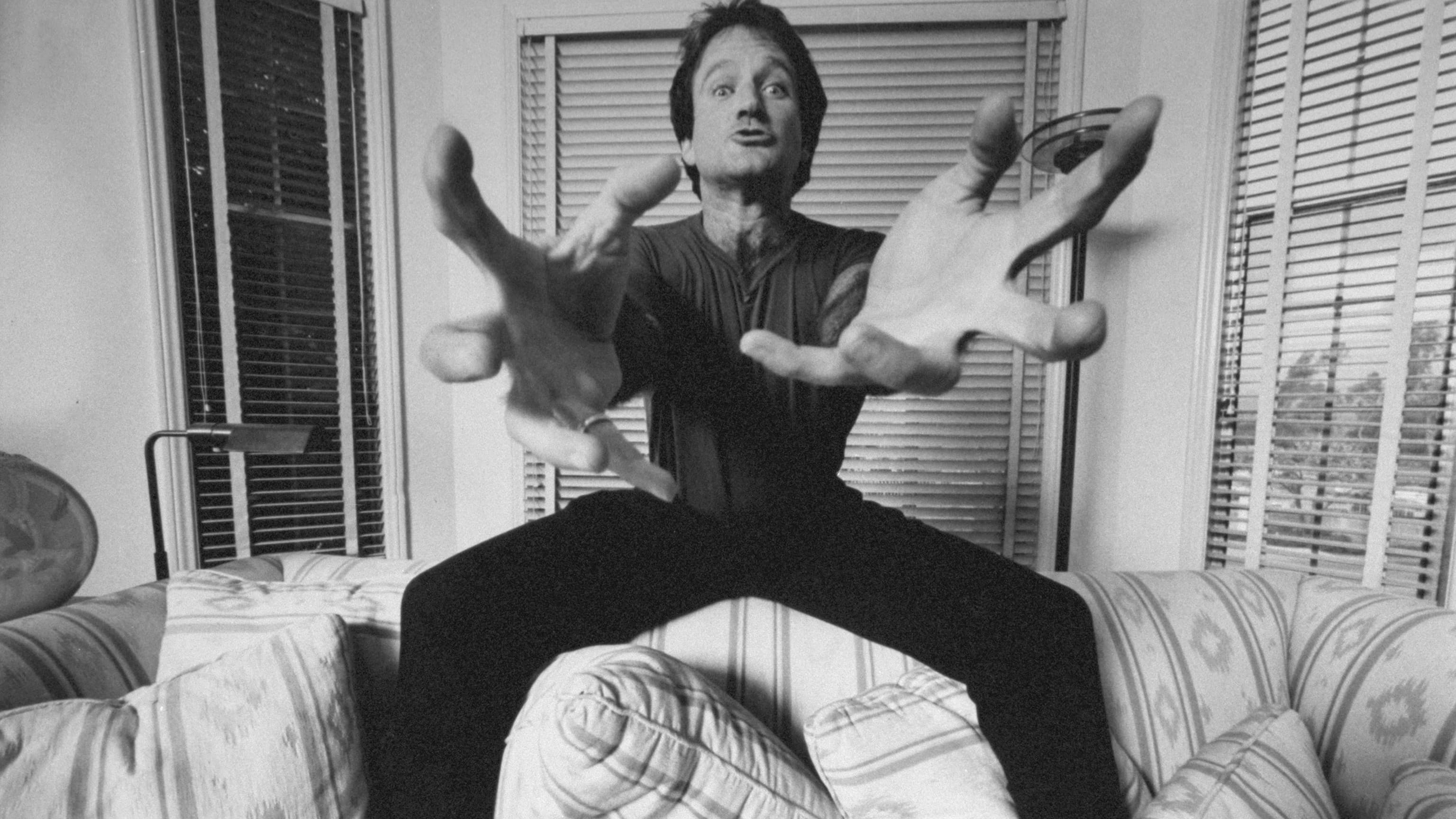 Nella mente di Robin Williams - immagine