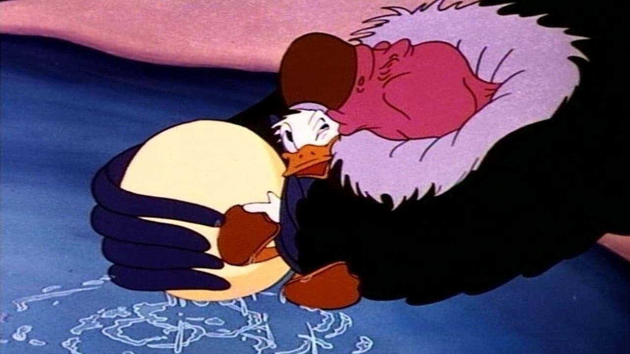 Un condor per amico - immagine