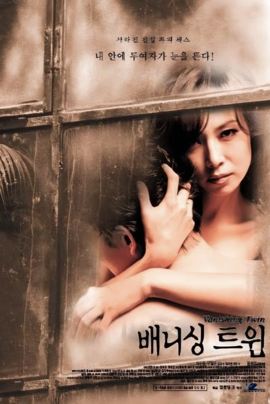 Poster di 배니싱 트윈