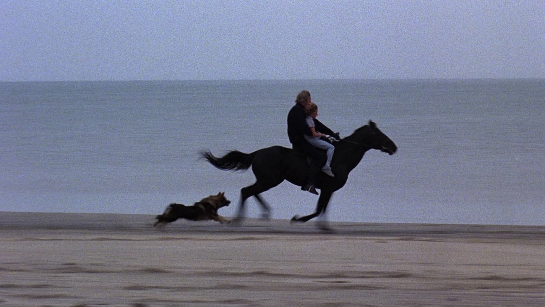 Equus - immagine