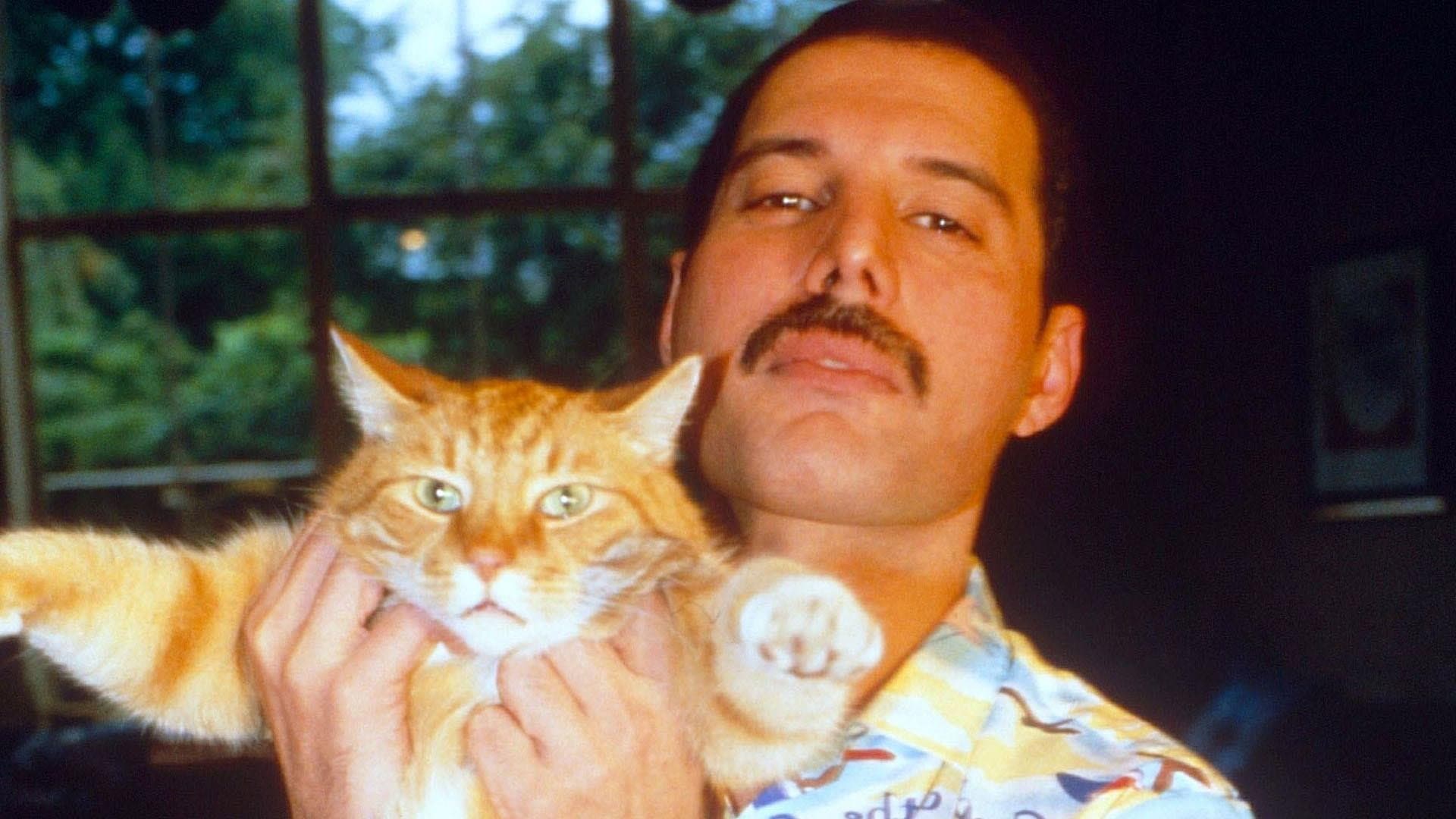 Freddie Mercury: The Great Pretender - immagine