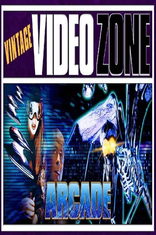 Poster di Videozone: The Making of "Arcade"