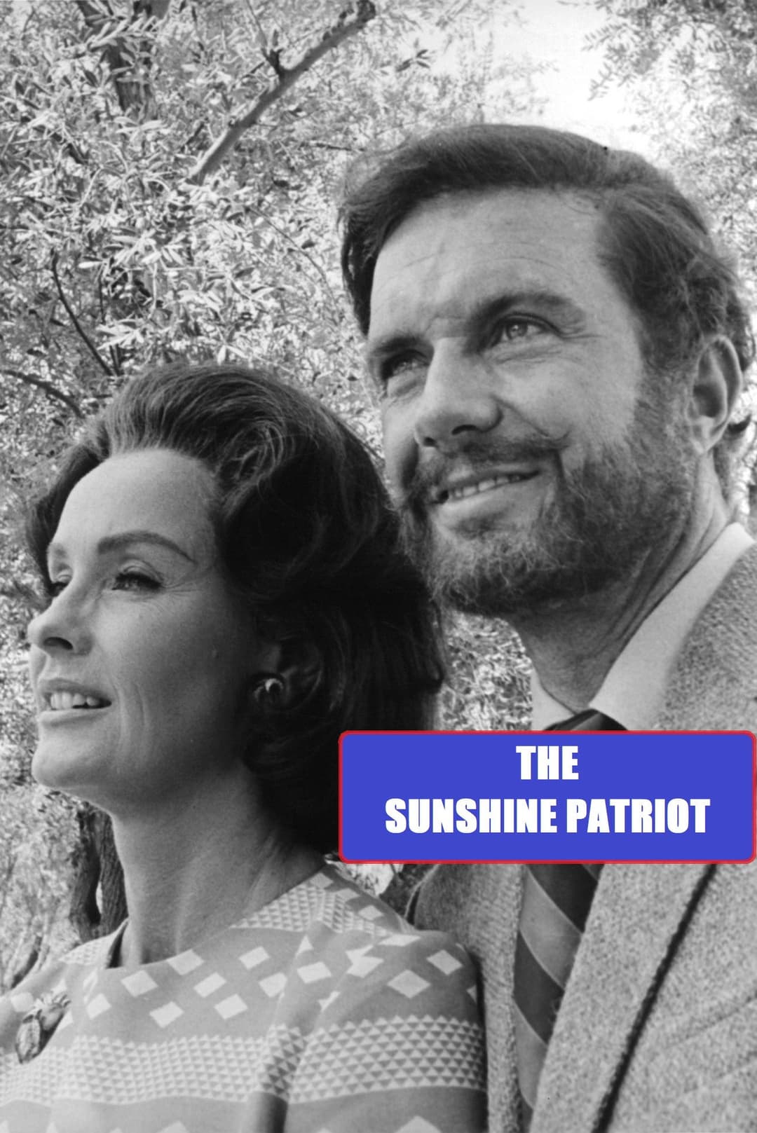 Poster di The Sunshine Patriot