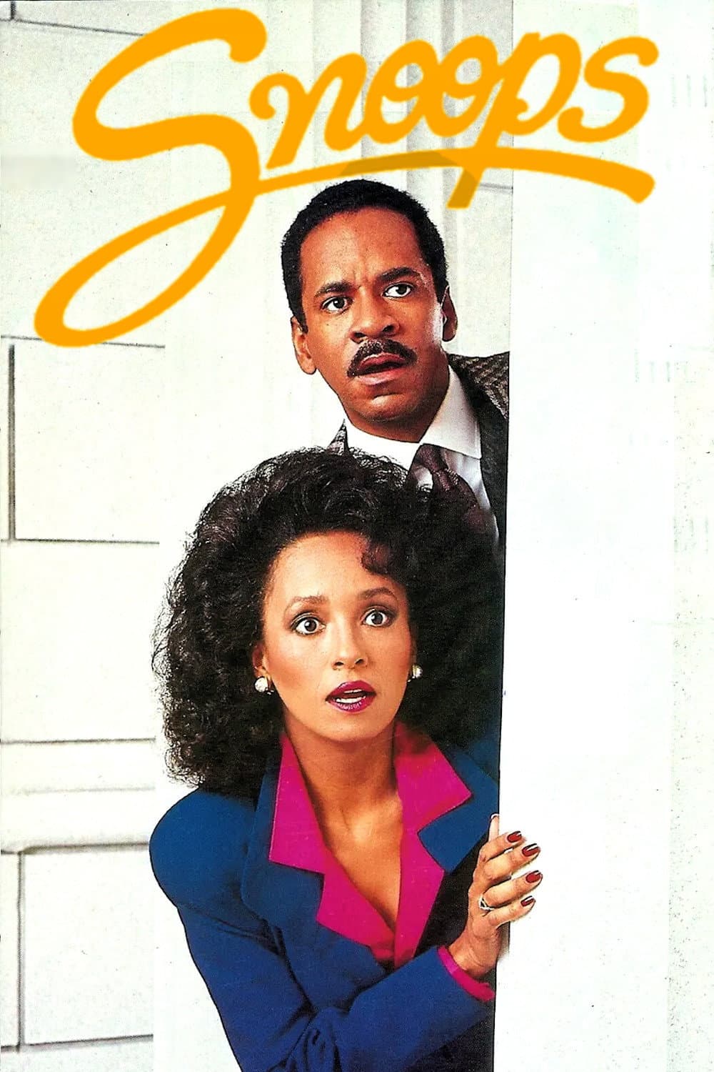 Poster di Snoops