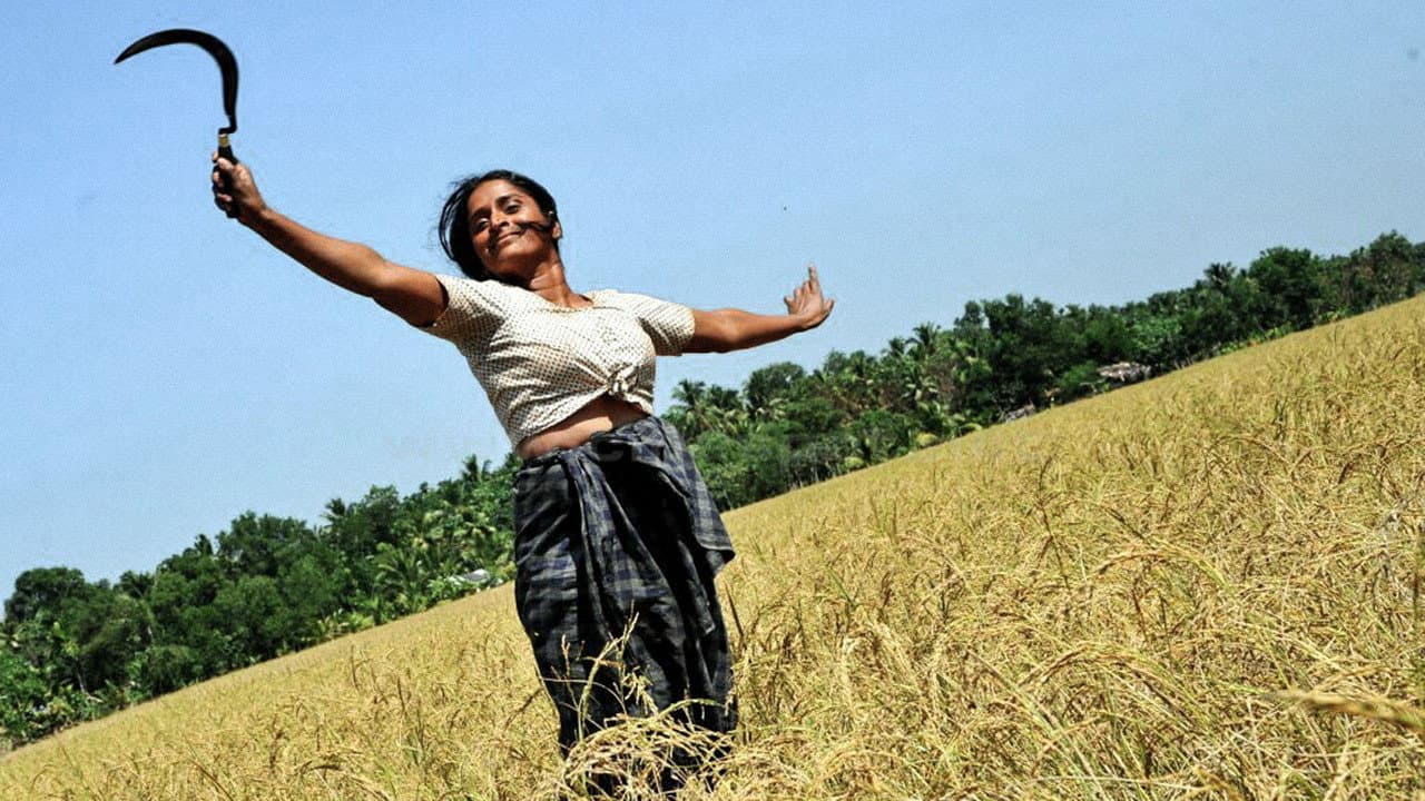 വസന്തത്തിന്റെ കനൽവഴികളിൽ - immagine