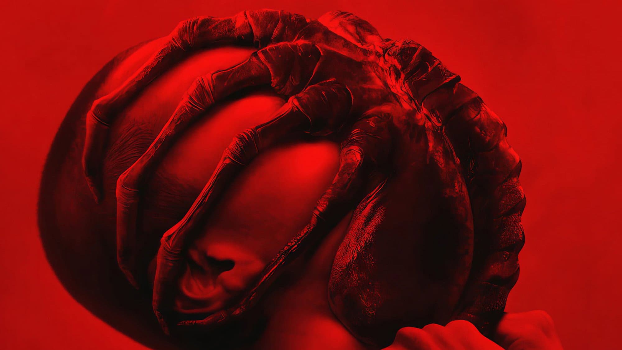 Alien: Romulus - immagine