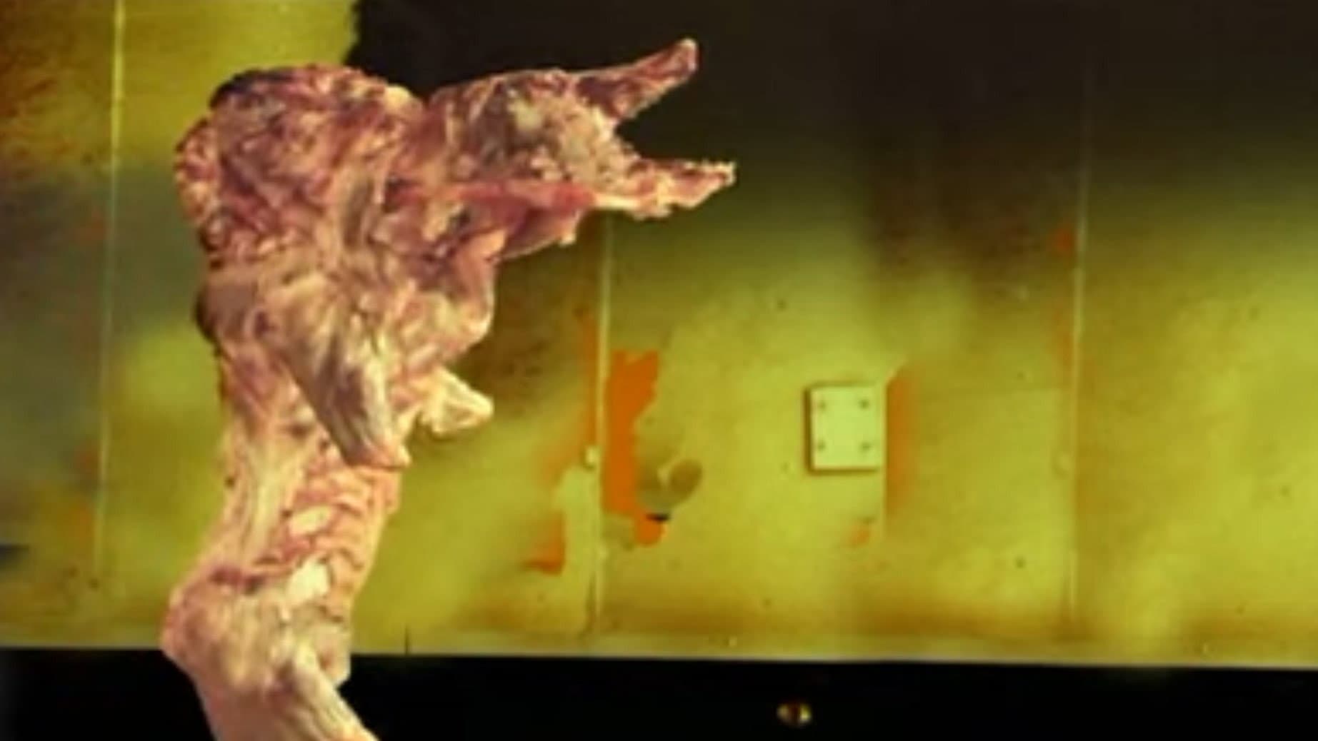 The Pig Walks - immagine