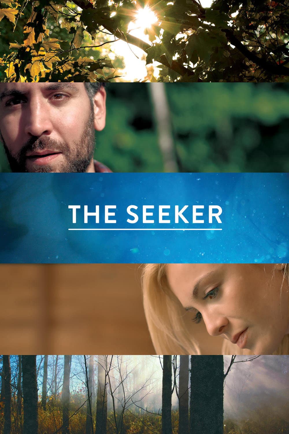 Poster di The Seeker