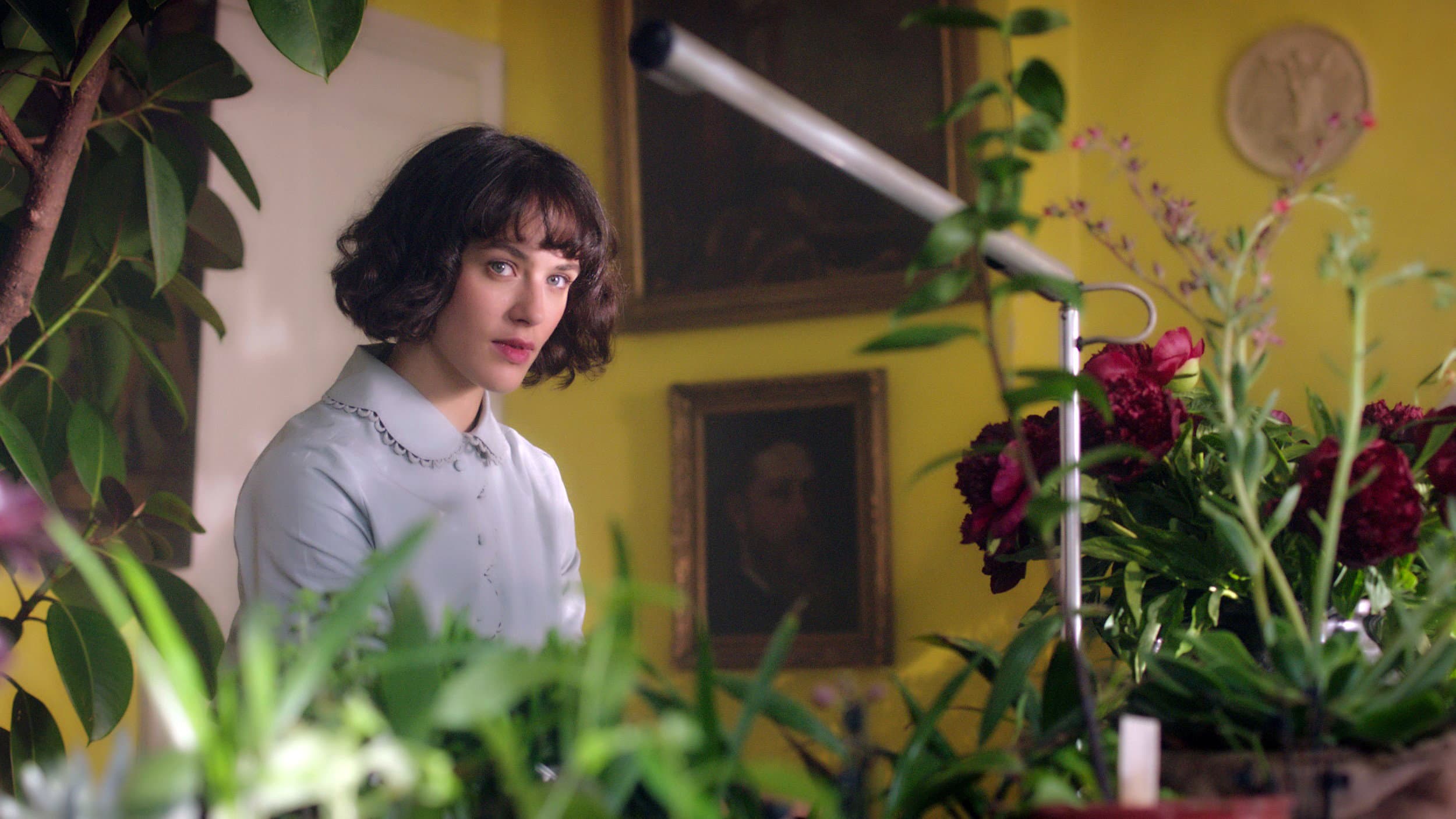 This Beautiful Fantastic - immagine