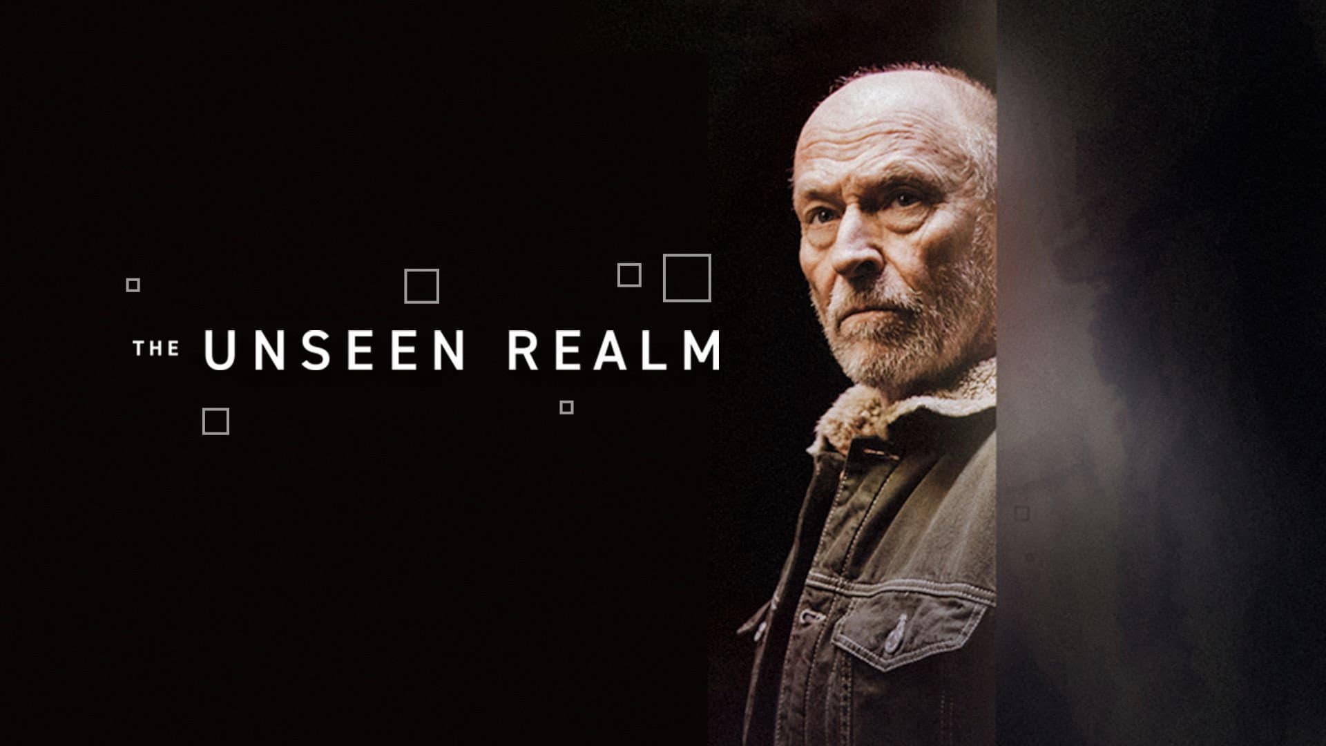 The Unseen Realm - immagine