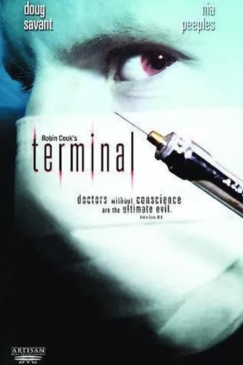Poster di Terminal