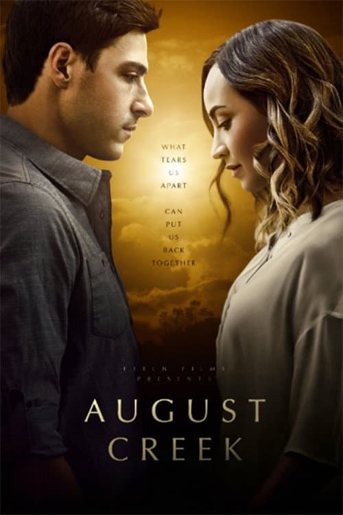 Poster di Un amore ritrovato