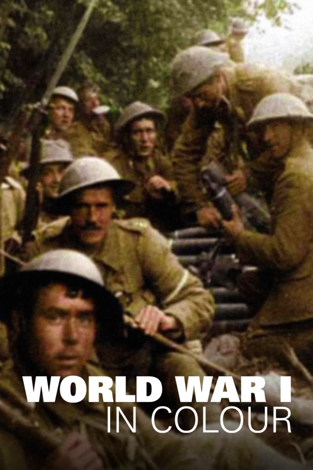 Poster di World War I in Colour