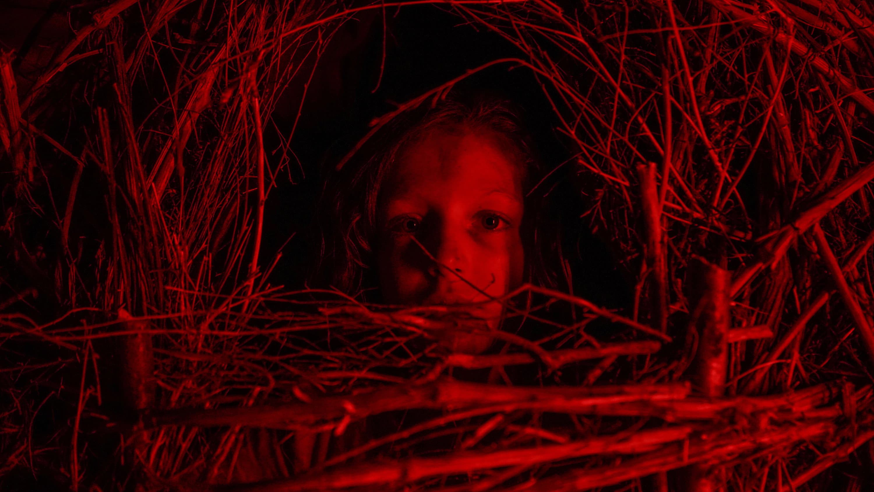 A Classic Horror Story - immagine
